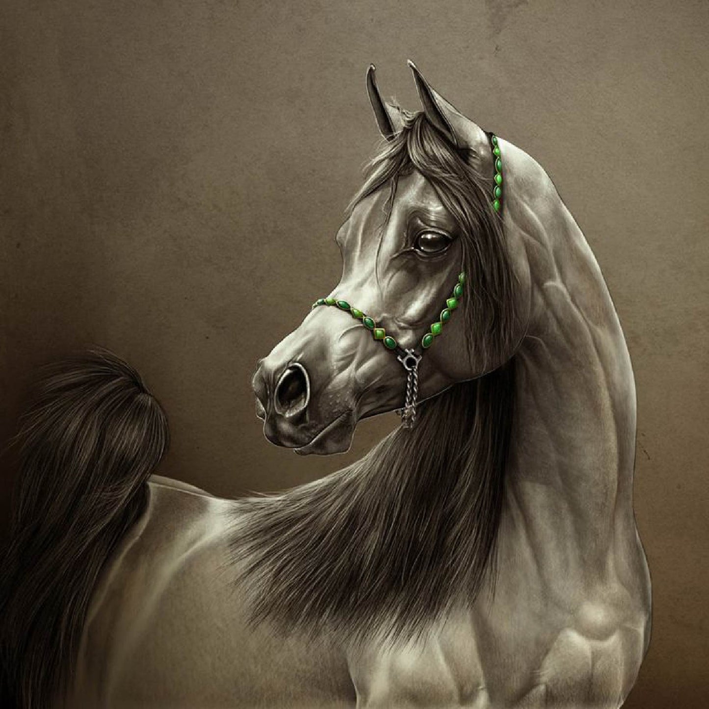 Realistic Arabian Horse Digital Artwork