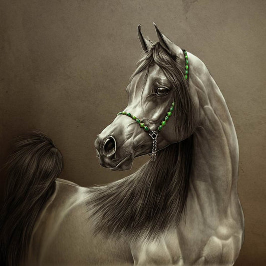 Realistic Arabian Horse Digital Artwork