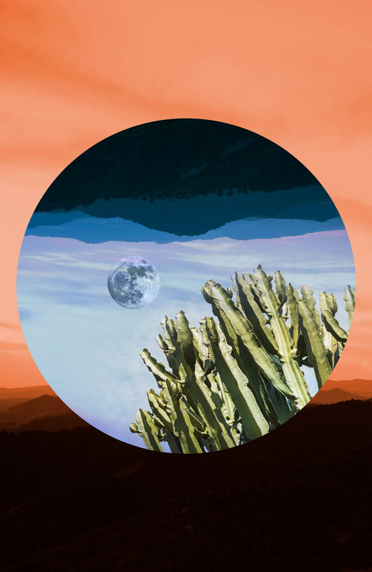Dreamy Landscape Digital Artwork with Moon and Cactus